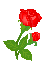 ʐ^WPVē