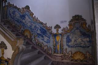 49 uKin portugal
