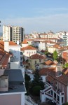 ̉ƕ݁ERCu@in portugal