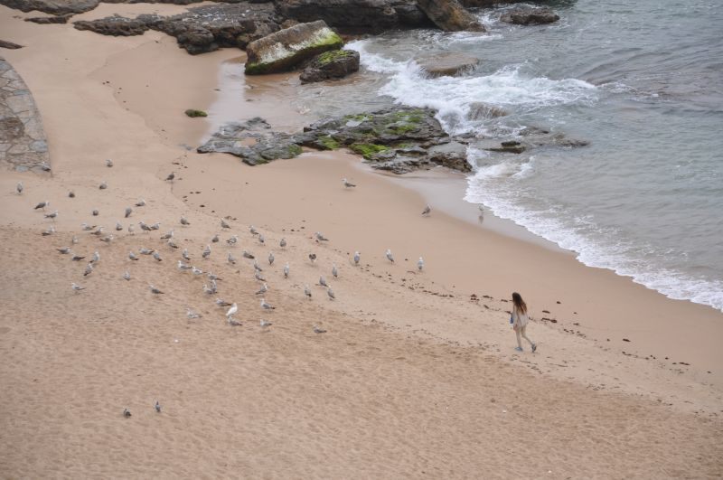 J@in Portugal Ericeira