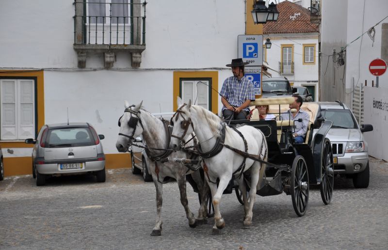 nԂ̌͏a؁@in Portugal Evora