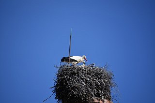 8 REmgin portugal