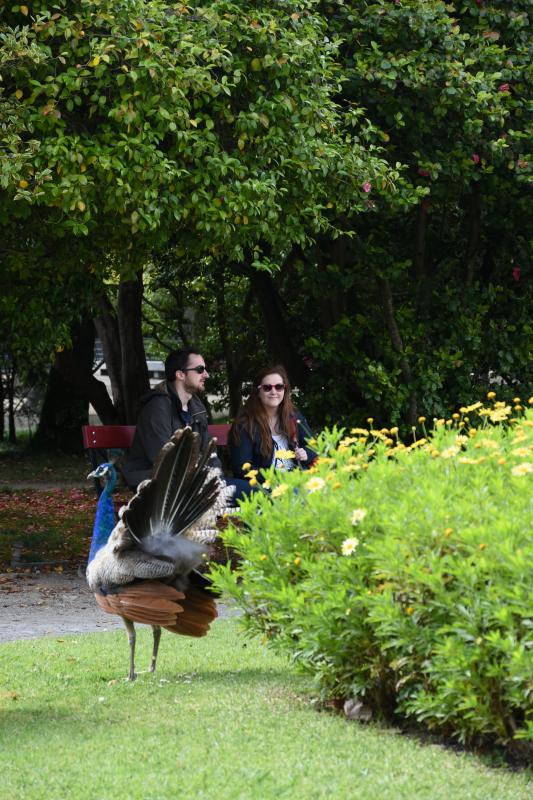 クリスタル宮庭園のふたり