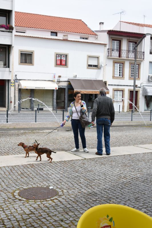 カステロブランコの犬の散歩のふたり