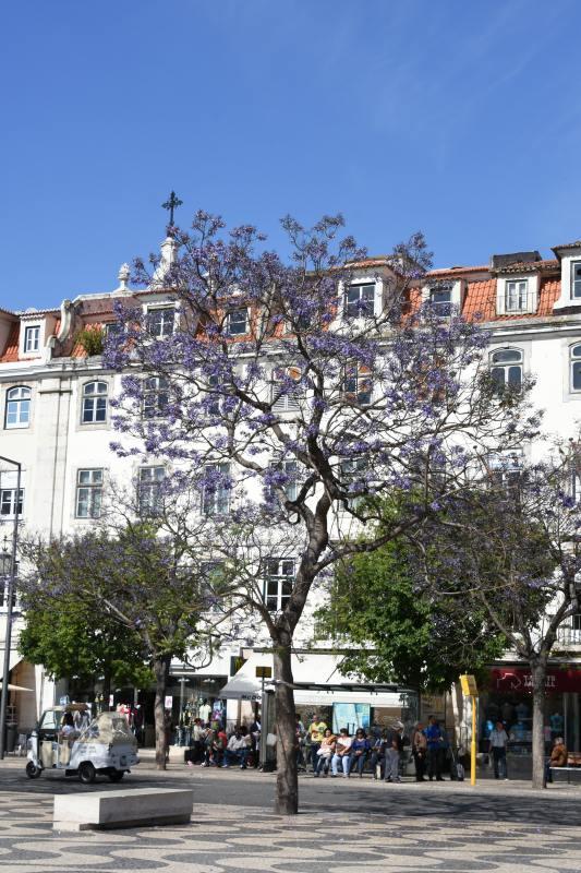 WJ_̖؁@in Portugal Lisboa