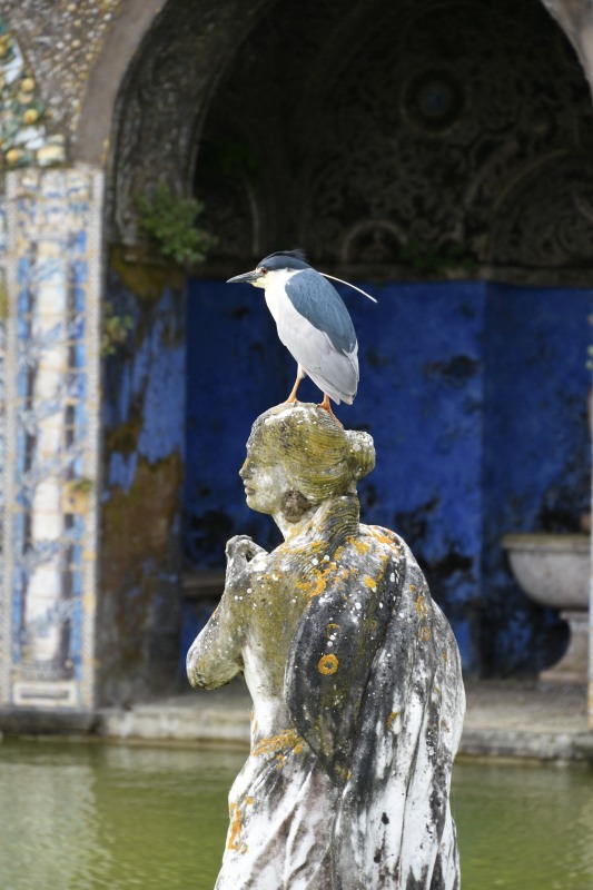 フロンティア侯爵邸庭園14 in Portugal Lisboa
