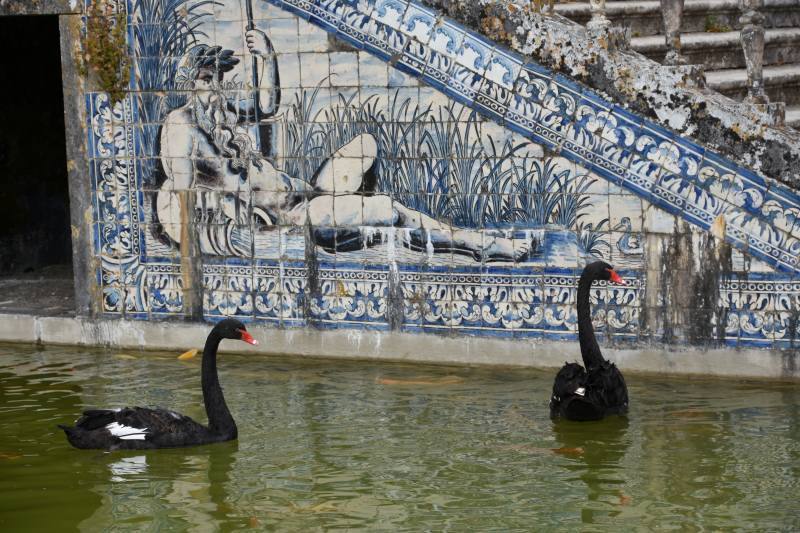フロンティア侯爵邸庭園15 in Portugal Lisboa