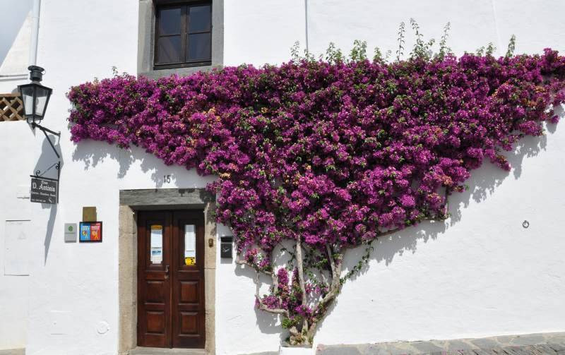 u[QrȀh@in Portugal Monsaraz
