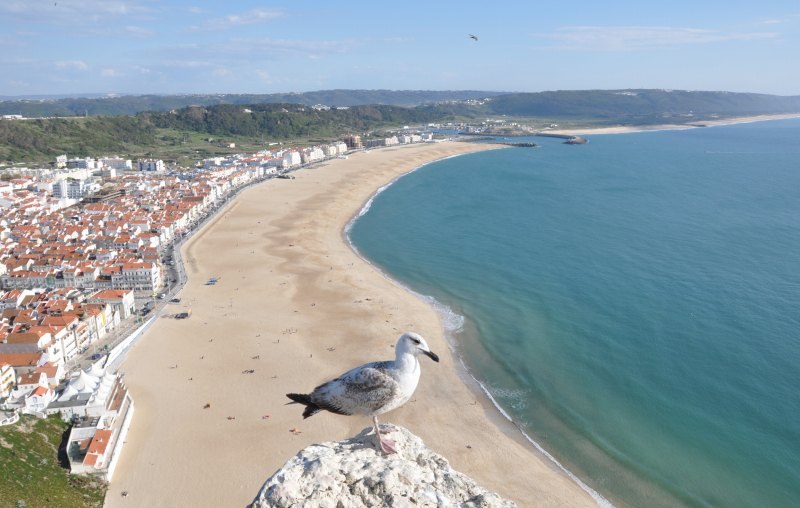 Ĵ镗iER@in Portugal Nazare