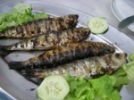 イワシの炭火焼き イワシの炭火焼き