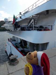 �y�\�E�_�E���O�A�̊ό��D�ƃ|�[�N