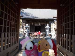 �|�[�N�P�S