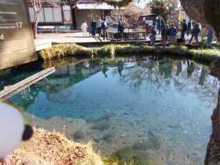 �|�[�N�R�Q