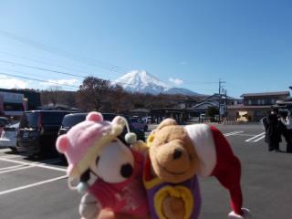 �|�[�N�R�T