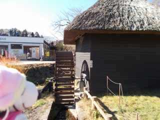 �|�[�N�S�Q