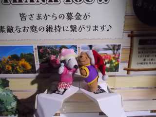 �|�[�N�T�Q