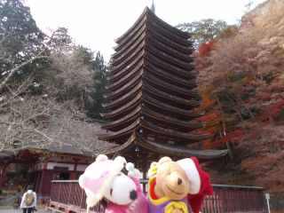 �k�R�_�Ђƃ|�[�N