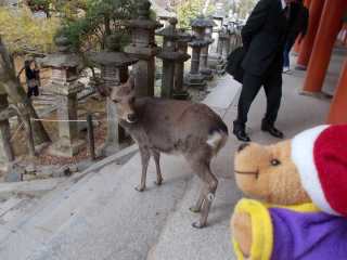 �|�[�N�P�Q