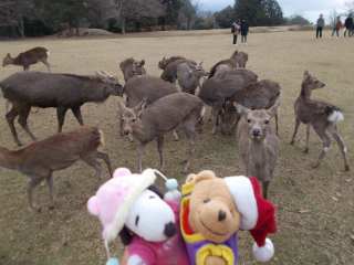 �|�[�N�P�U