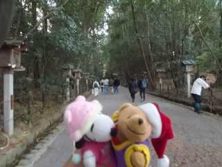 �|�[�N�Q�O