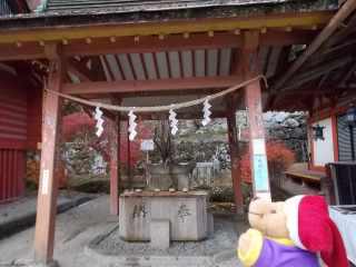 �|�[�N�R�V