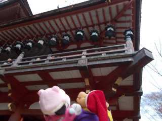 �|�[�N�S�P