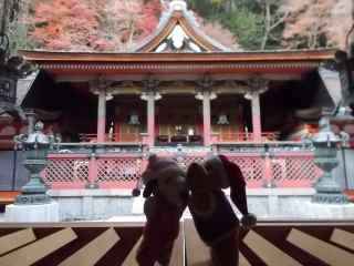 �|�[�N�S�S