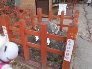 �|�[�N�S�T