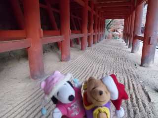 �|�[�N�S�V