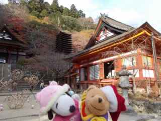 �|�[�N�T�P