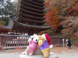 �|�[�N�T�S