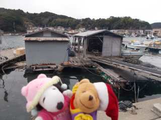 �|�[�N�P�U