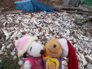 �|�[�N�R�R