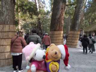 �|�[�N�S�U