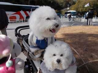 �|�[�N�T�R