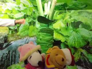 �|�[�N�Q�U