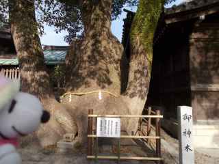 �|�[�N�S�T