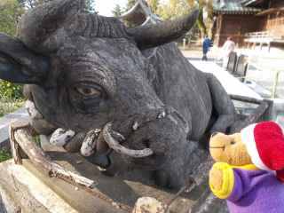 �|�[�N�S�X