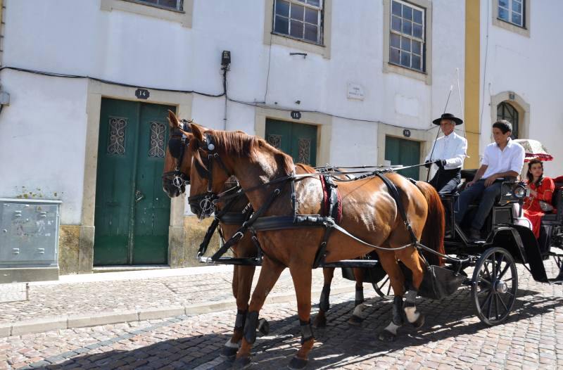 nԁ@in Portugal