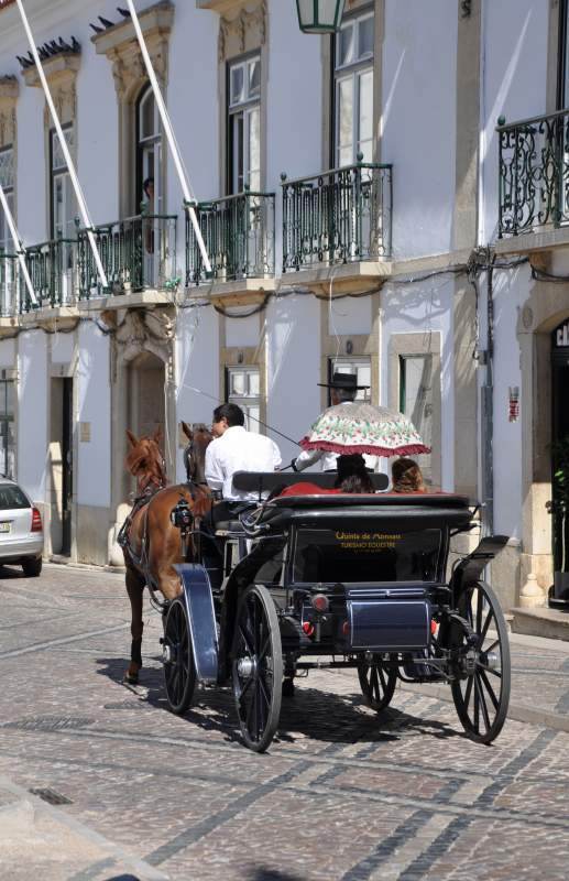 nԂ̎@in Portugal